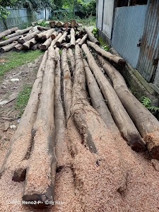 Bajrangbali Timber and Order Supplier