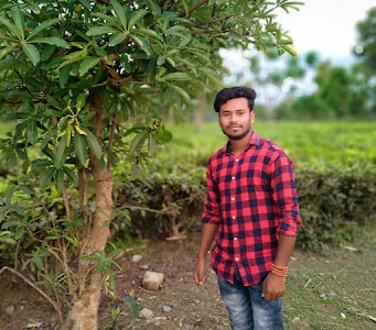 Coochbihar Tea Garden Tested And Divishan Lined
