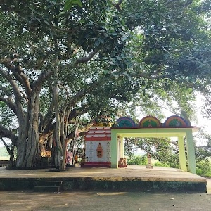 Dhulia Sandha(ଧୂଳିଆ ଷଣ୍ଢ)