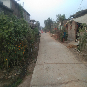 Karanja