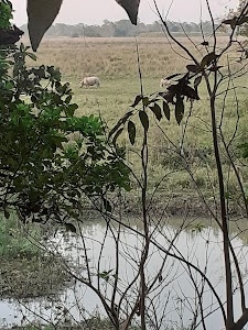 Bokajan
