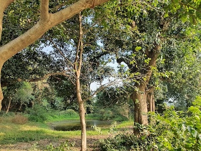 Dadupur