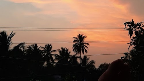 Agnihotra farming