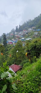 Rangaroong Tea Garden