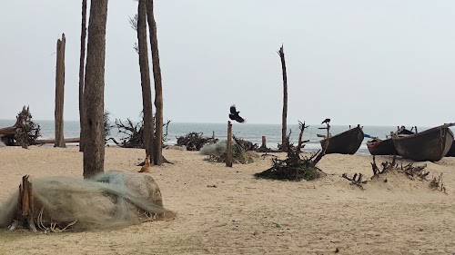 View point Tajpur seabeach