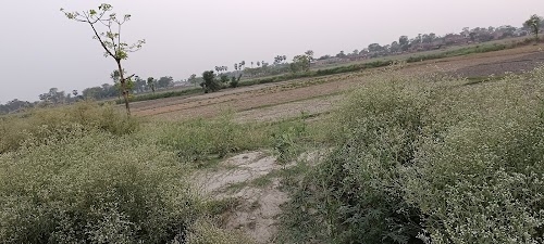 Bishambharpur