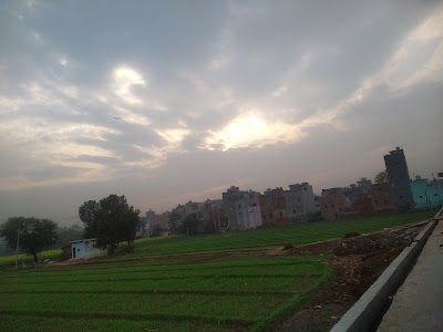 Shyam Vihar Phase-1, Najafgarh