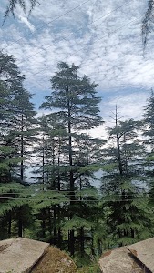 Patal Bhuvaneshwar