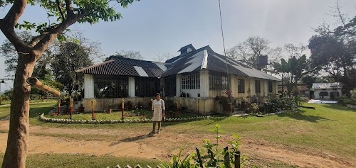 Goombira Tea Estate