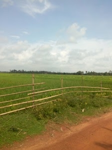 Jemua Vadubala Vidyapith