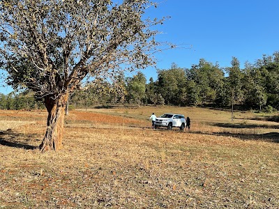 Nandgam