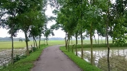 Bilaspur