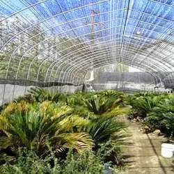 Pink Vision Agro Tech