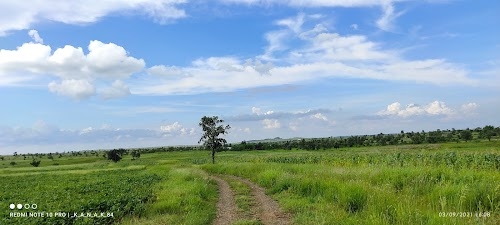 Salriya