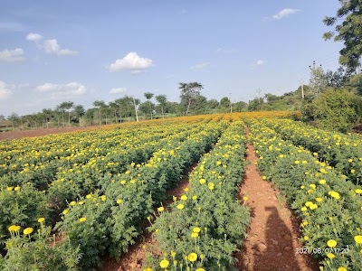 Vikarabad