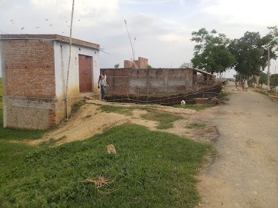 Tiger Bhai louni