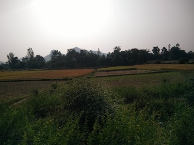 Bharat Sanchar Nigam Limited (bsnl)