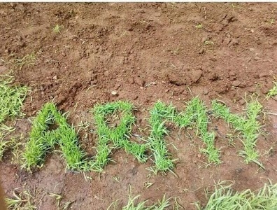 Army running ground gausala