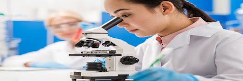 Quality Scientific & Mechanical Works