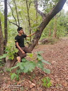 Jaintara