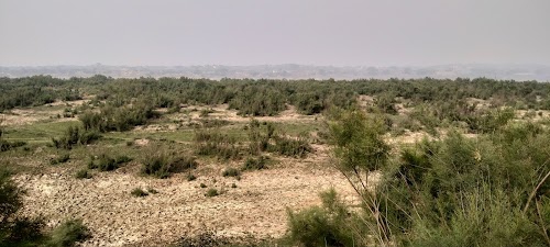 Bansari