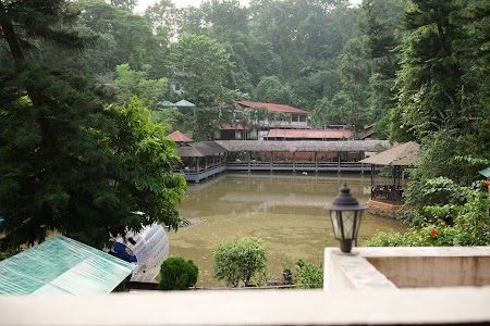 Brahmaputra Jungle Resort
