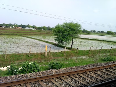 Kothari Road