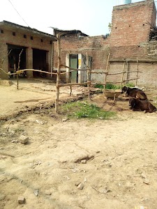 Lalta devi mandir