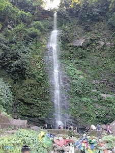 Tippi Jharna