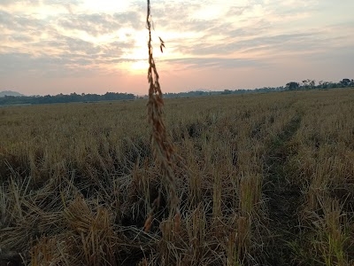 Moirapur patgaon