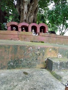 Panpur