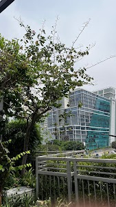 cyber city gurgaon
