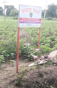 Prakash Fram
