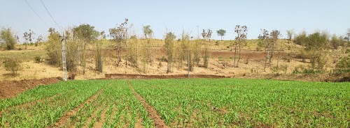 Gondaliya