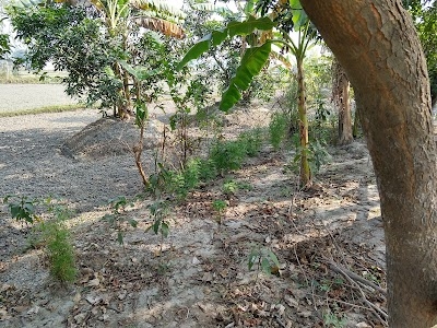 Gulalpur