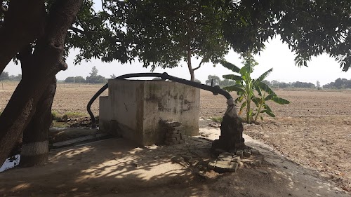 Karnauli