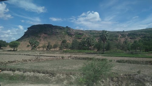 Saukhara