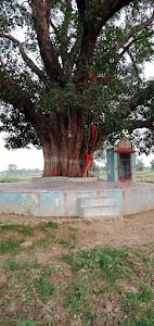 Jay Baram Mahraj