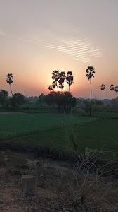 Satrikh's sunset view point