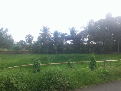 Serpur