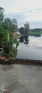 Surla