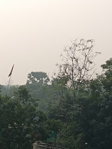 Gopalpur