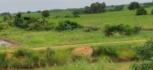 Kukkadam