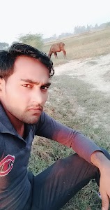 Dakhvapur