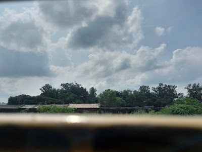 Sisona