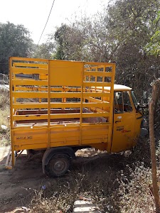 Sasalu