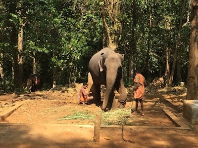 Elephant Sanctuary