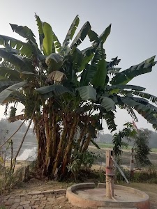 काली माता मंदिर परसेंडी