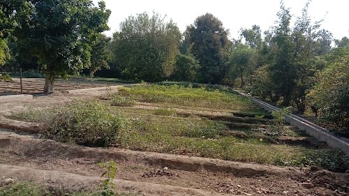 Central Nursery