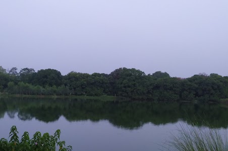 Dholna